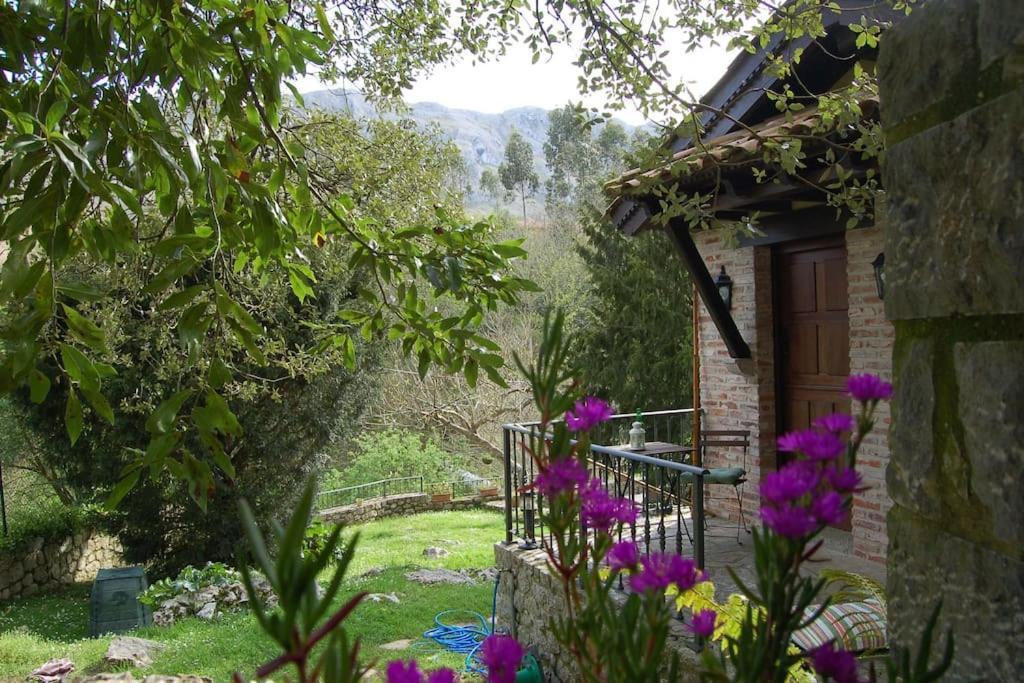 El Choco, A Small Place In Paradise. V.v435as Apartment *